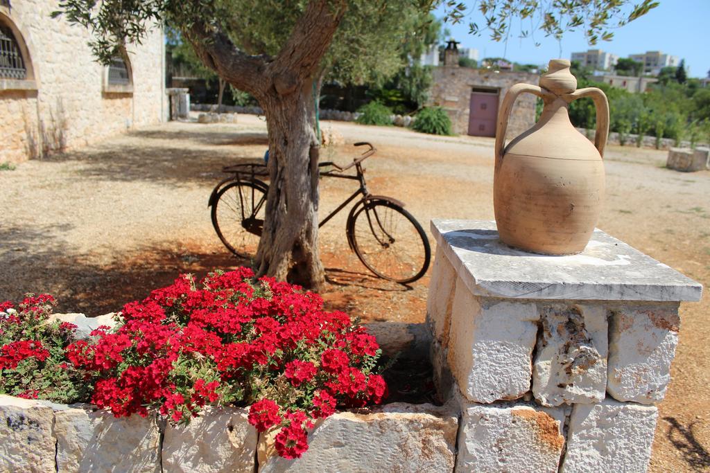 Masseria Tolla Ostuni Εξωτερικό φωτογραφία